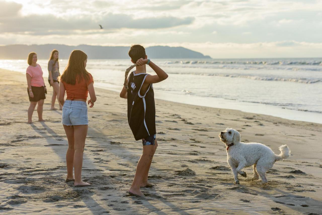 Ohope Beach Top 10 Holiday Park Esterno foto
